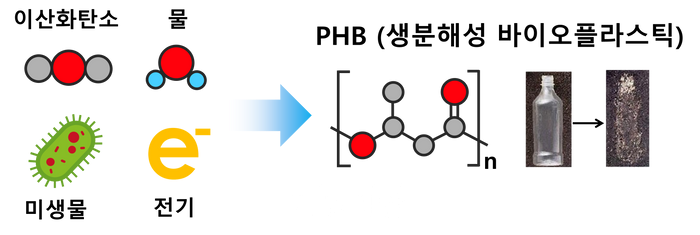 이산화탄소로 만든 바이오플라스틱…세계 최고 생산성 달성